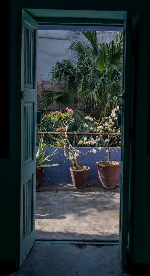 Bristows Haveli Homestay ジョードプル エクステリア 写真